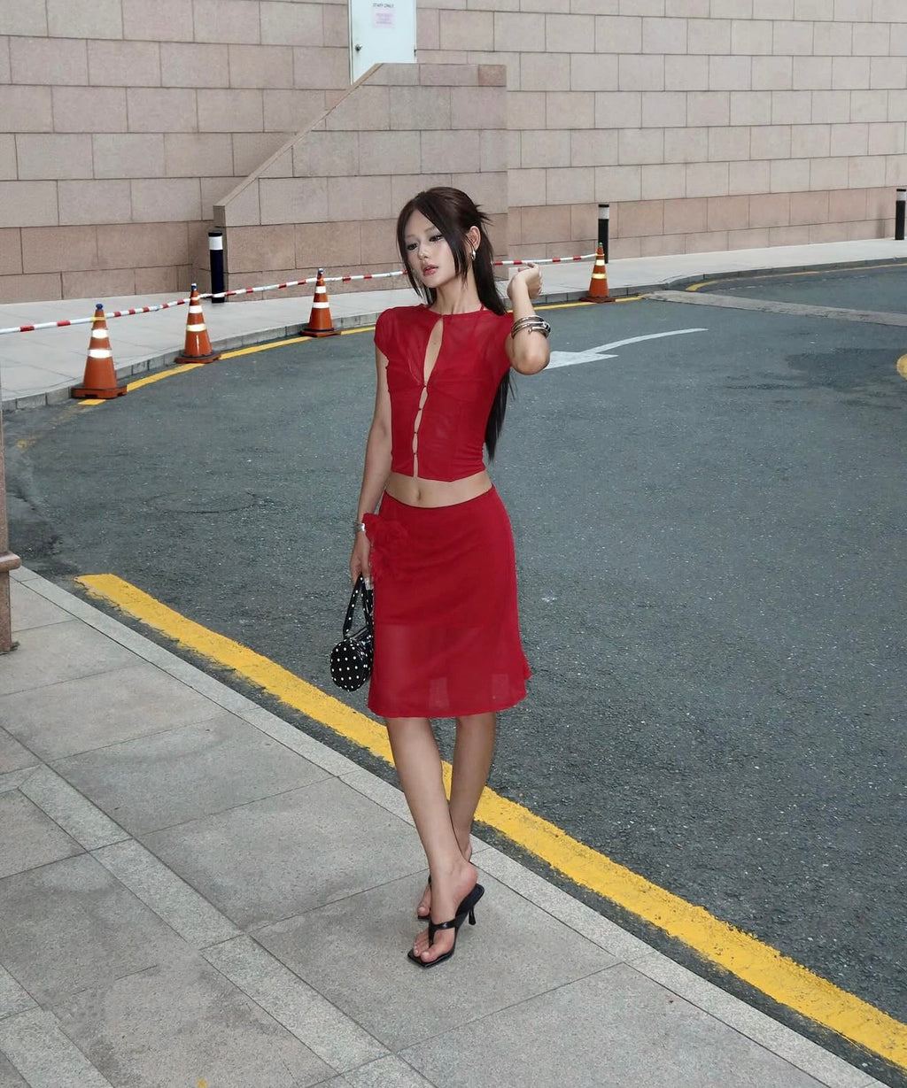 Feiin Atelier Roselle Mesh Set
